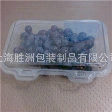 承接各种水果吸塑盒热压水果吸塑盒葡萄盒