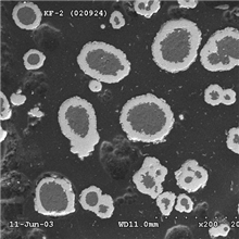 化学包覆型复合粉末