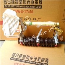 厂家直销RW10-10F户外高压跌落式熔断器户外带灭弧罩熔断器