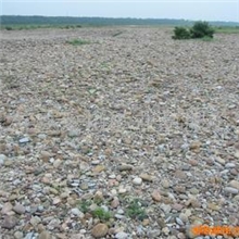 大量供应优质机制鹅卵石(图)