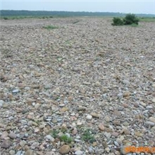 供应人造鹅卵石(图)