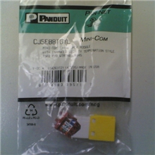 泛达PANDUIT六类模块