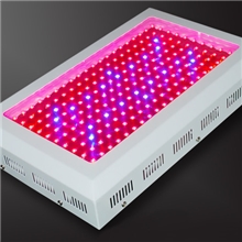 厂家供应LED植物生长灯120W植物补光灯20W植物生长LED灯管