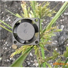 直流小风扇（20*20*10MM图）