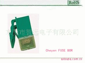 车用保险丝盒FLK-LFUSE895(图)