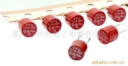 保险丝（慢断型）