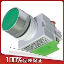 浙江温州平钮自锁Y090-11BNZS平钮开关