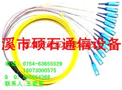 硕石供应SC12芯束状尾纤12芯SC束状尾纤厂家直销