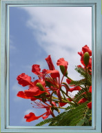 3D画平板灯，立体画A1超薄面板灯841x594mm