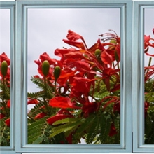 3D立体画、超薄面板灯841x1195mm