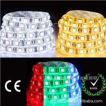 专业生产LED贴片灯条5050低压灯带60灯防水LED灯带柔性灯带