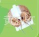 大量供应电感磁环共模电感环形电感厂家质量保证插件电感