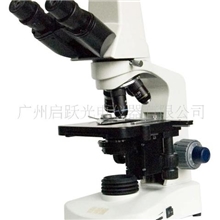 供应广州启跃光电TS-2009升级版视频显微镜