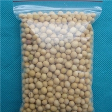 厂家直供PE密实袋/密封袋/PE自封袋封口胶袋/红边胶袋现货