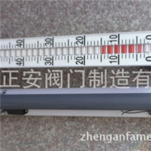 顶装式/底装式/侧装式磁翻板液位计