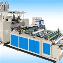 【行内领先】供应PEVA、EVA、PE流延机