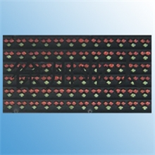 PH16户外全彩LED屏