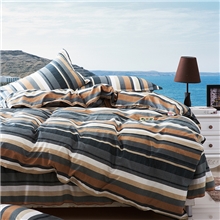 秋冬加厚磨毛新品四件套天丝澳绒棉活性印染手感细腻