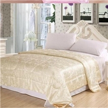 批发罗莱品质蚕丝夏凉被钱皇桑蚕丝被芯蚕丝冬被芯被子代发货