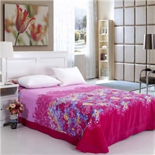 舒爽宝家纺低价供应纯棉加厚磨毛床单套件床上用品全棉加大床单
