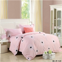 备服家天丝芦荟棉爆款四件套天鹅绒床品套件一件代发提供数据包