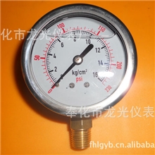 不锈钢压力表，耐震压力表，冲油表