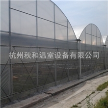 浙江杭州连栋温室大棚以色列膜余杭大棚