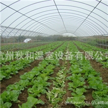 【GP-C825经济型】杭州温室大棚单体薄膜温室余杭塑料大棚