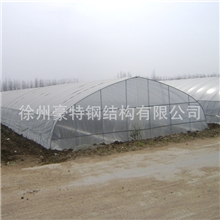温室大棚养鸡大棚蔬菜大棚草莓大棚