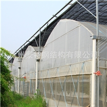 低价供应温室大棚连栋温室
