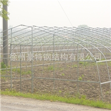 低价供应菌类大棚菌类温室