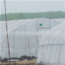 低价供应单体大棚塑料温室塑料大棚