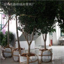 [品质保证]优质田园风植树袋耐腐蚀植树袋60*60*50厂家直销