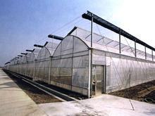 【质量可靠】价钱公道单体大棚、连体大棚、农用大棚、