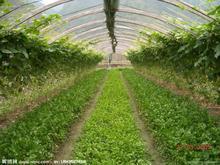 【本厂承接】顾客第一镀锌管