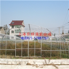 大棚批发供应旧温室单体大棚(图)13816407723温室大棚建设