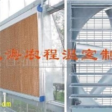 供应湿帘风机-降温系统