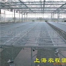 供应移动式育苗床温室