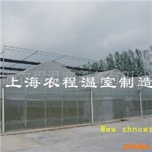 供应GSW8430连体大棚(图)