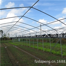 【江苏无锡】富照蔬菜温室大棚大棚蔬菜大棚温室物美价廉