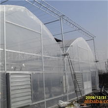 供应【江苏无锡】蔬菜大棚|无锡|大棚|蔬菜大棚|养殖大棚