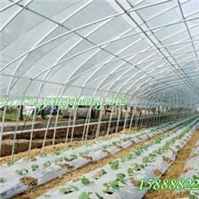 供应杭州余杭反季节蔬菜热镀锌钢管大棚骨架GP622