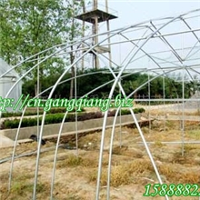 供应杭州余杭黄瓜热镀锌钢管大棚骨架GP622