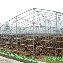 供应杭州淳安生姜热镀锌钢管大棚骨架GP825