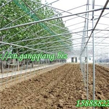 供应杭州余杭菠菜热镀锌钢管大棚骨架GP622