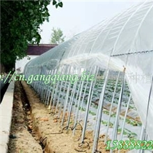 供应杭州余杭青椒热镀锌钢管大棚骨架GP622