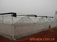 供应花卉种植大棚车棚钢构大棚等