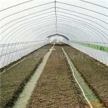 供应塑料大棚单体温室钢管大棚等