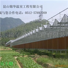 供应温室大棚
