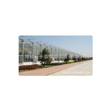 大量供应高透光性玻璃温室日光温室智能温室大棚质量保证